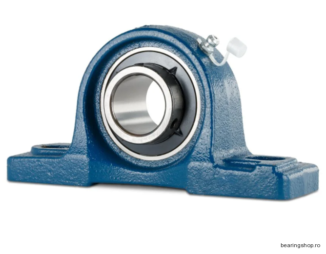 Lagar UCP215 NTN